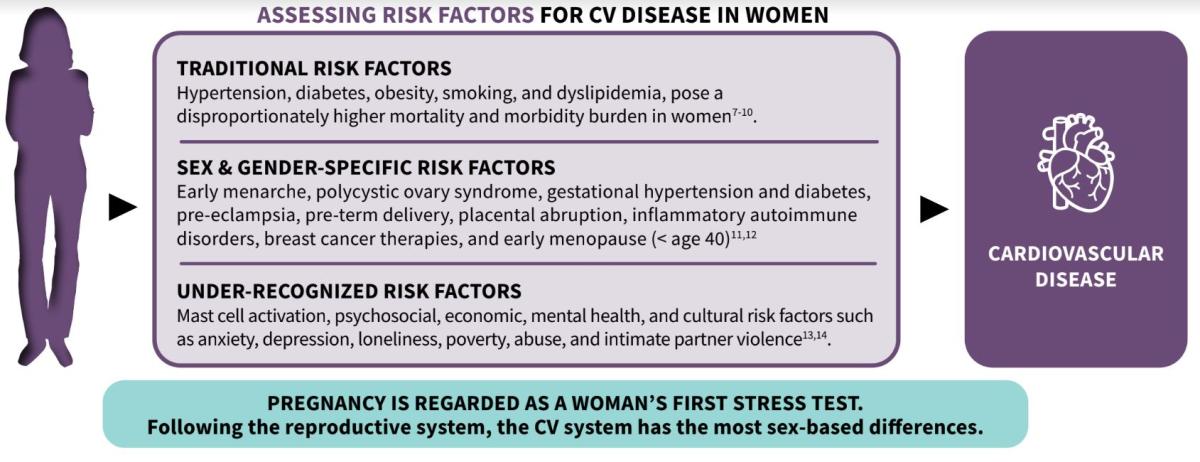 Assessing Risk Factors for CV Disease in Women