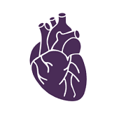 Heart and vascular disease