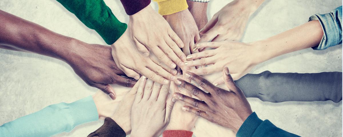 Alliance nationale de la santé cardiaque des femmes